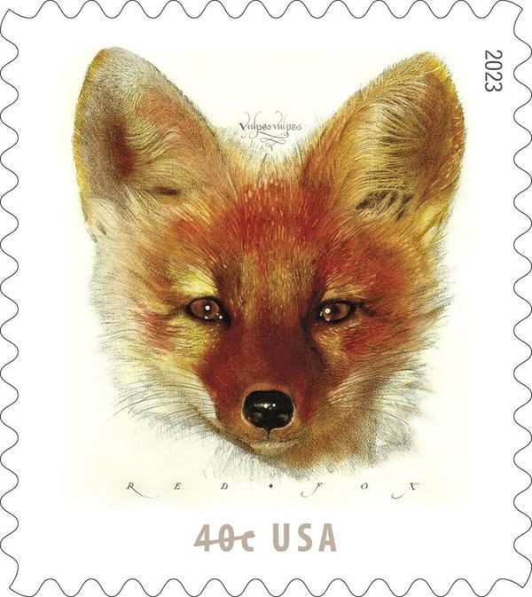 New Stamp: Red Fox